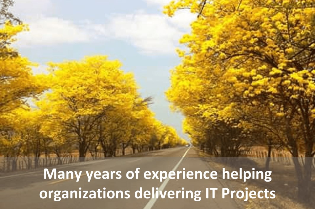 Many years of experience helping organizations delivering IT Projects